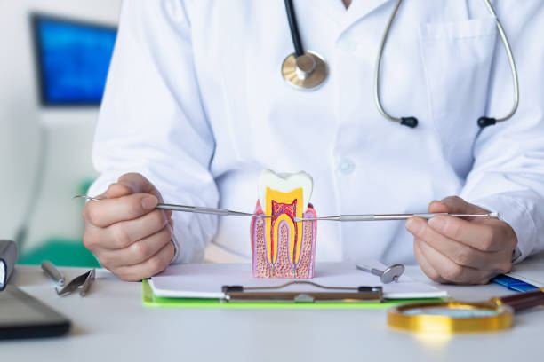 Best Emergency Dental Extractions in Mount Clemens, MI